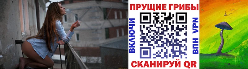 Псилоцибиновые грибы GOLDEN TEACHER  Купить где  Ивангород 